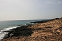 Kanary_2010 064